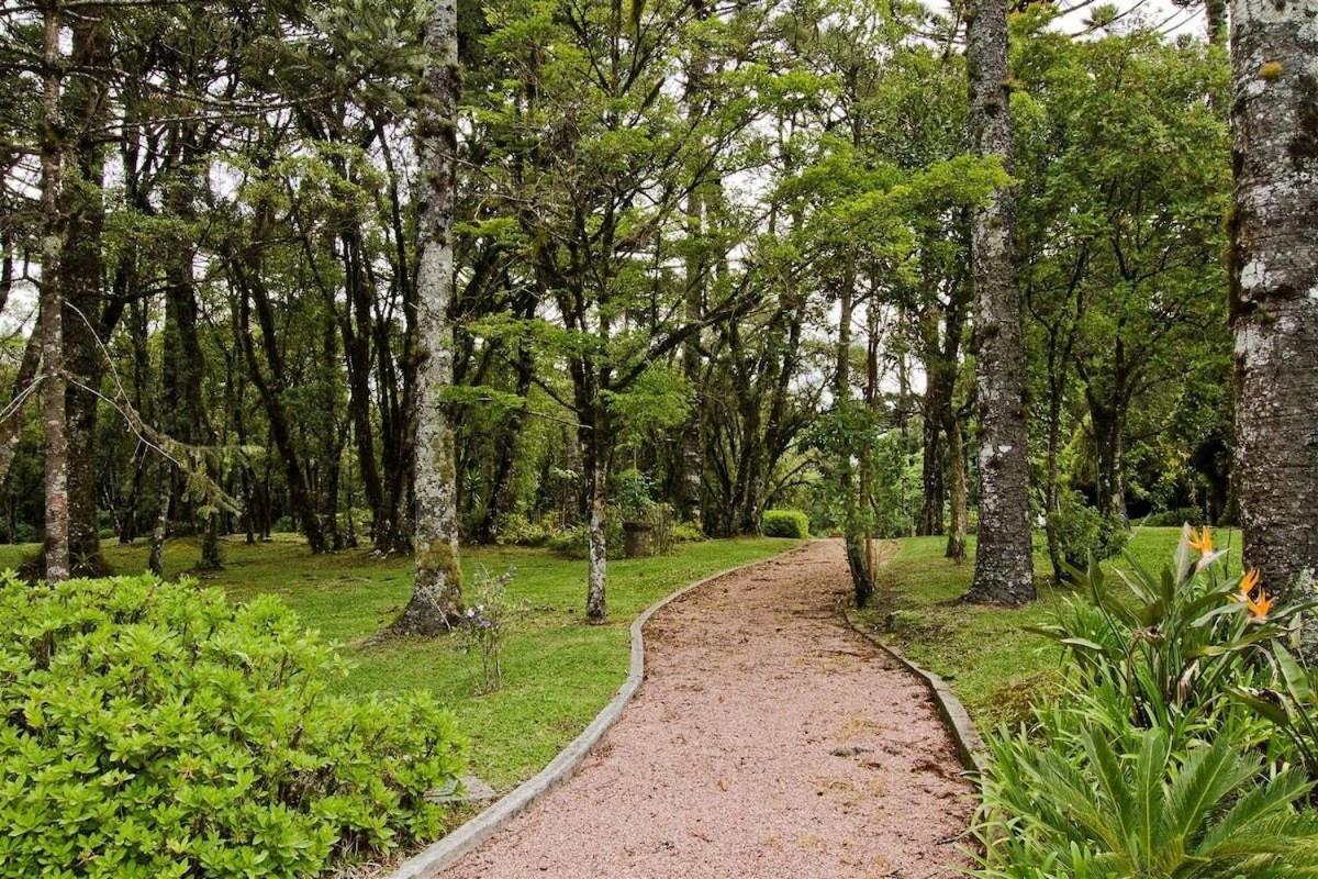 Presidencial Suite 3008 - Canela E Gramado 外观 照片